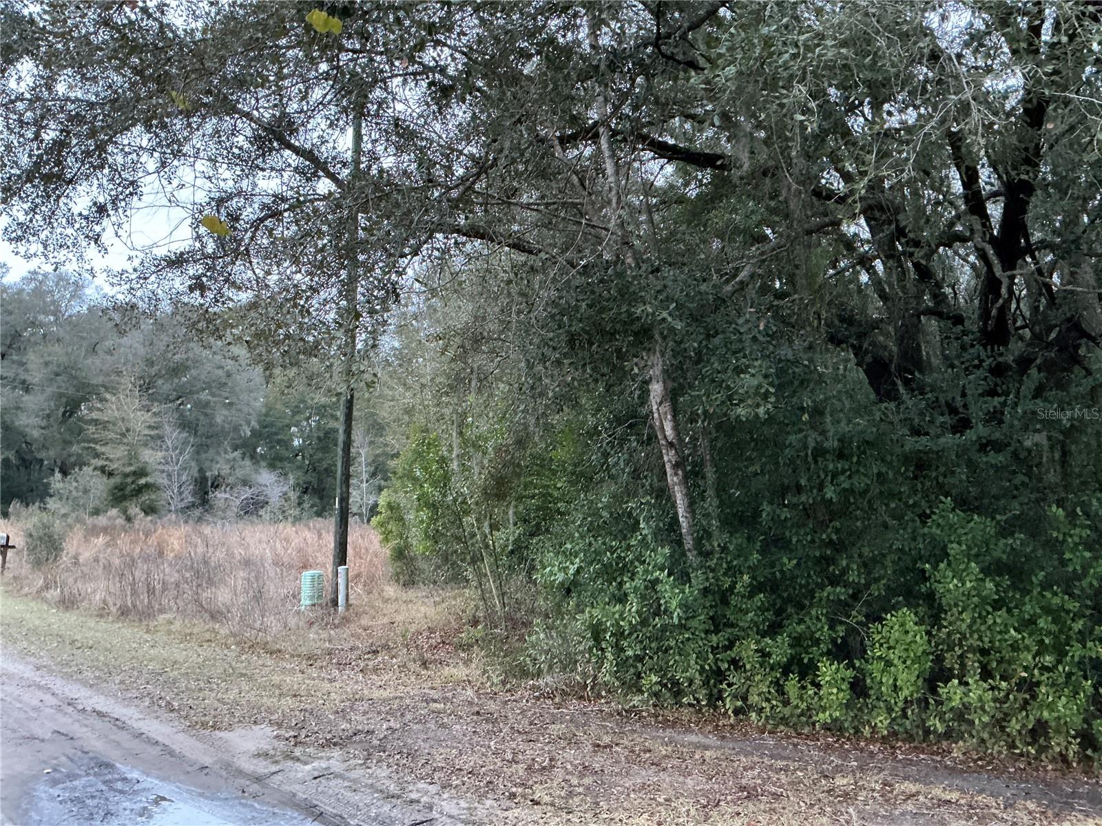 Image 2 of 4 For 0 143rd Place