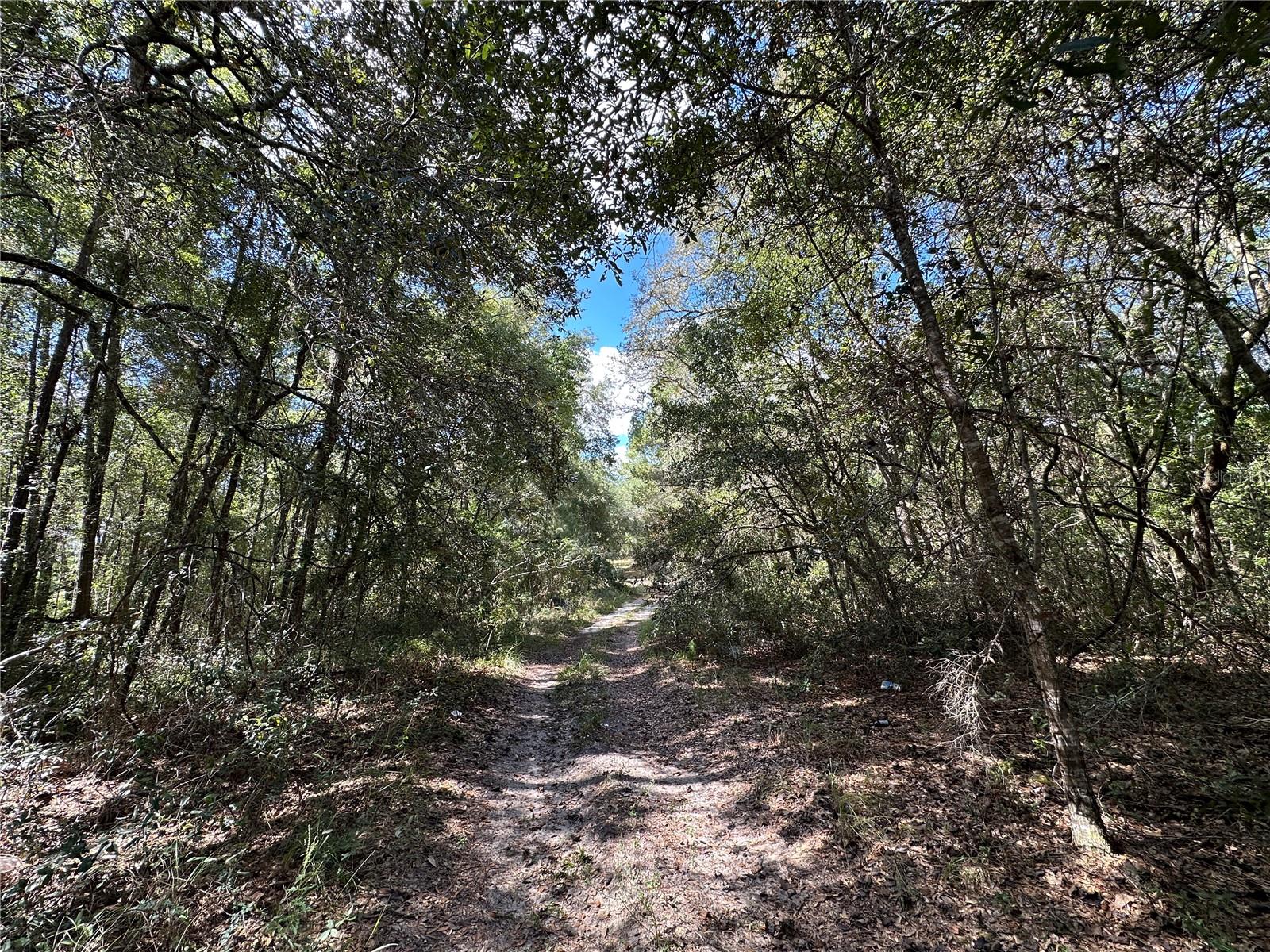 Image 10 of 10 For Tbd 138th Avenue