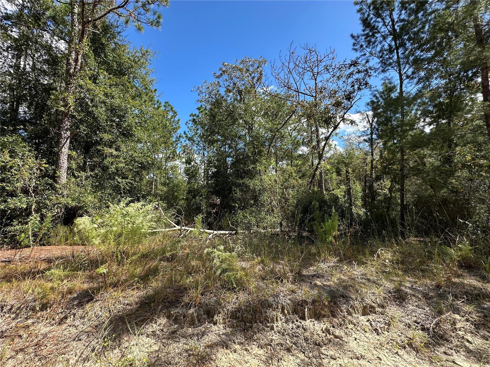 Image 3 of 10 For Tbd 138th Avenue