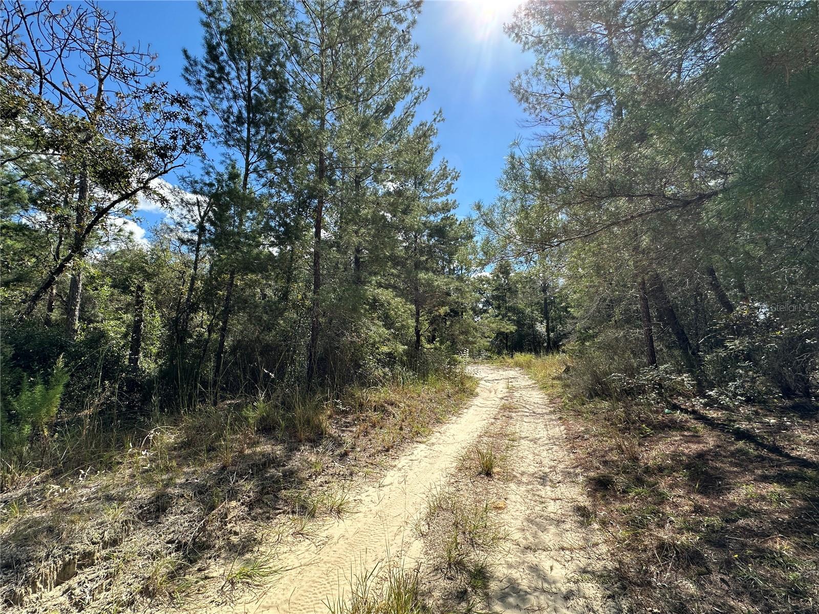 Image 4 of 10 For Tbd 138th Avenue