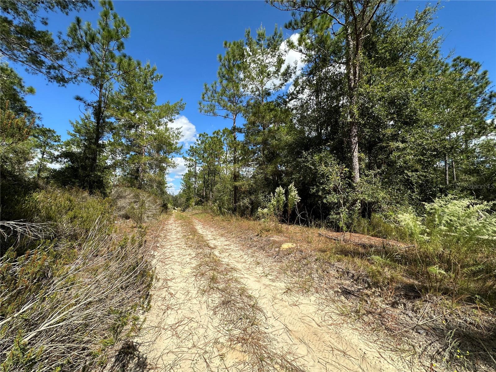 Image 5 of 10 For Tbd 138th Avenue