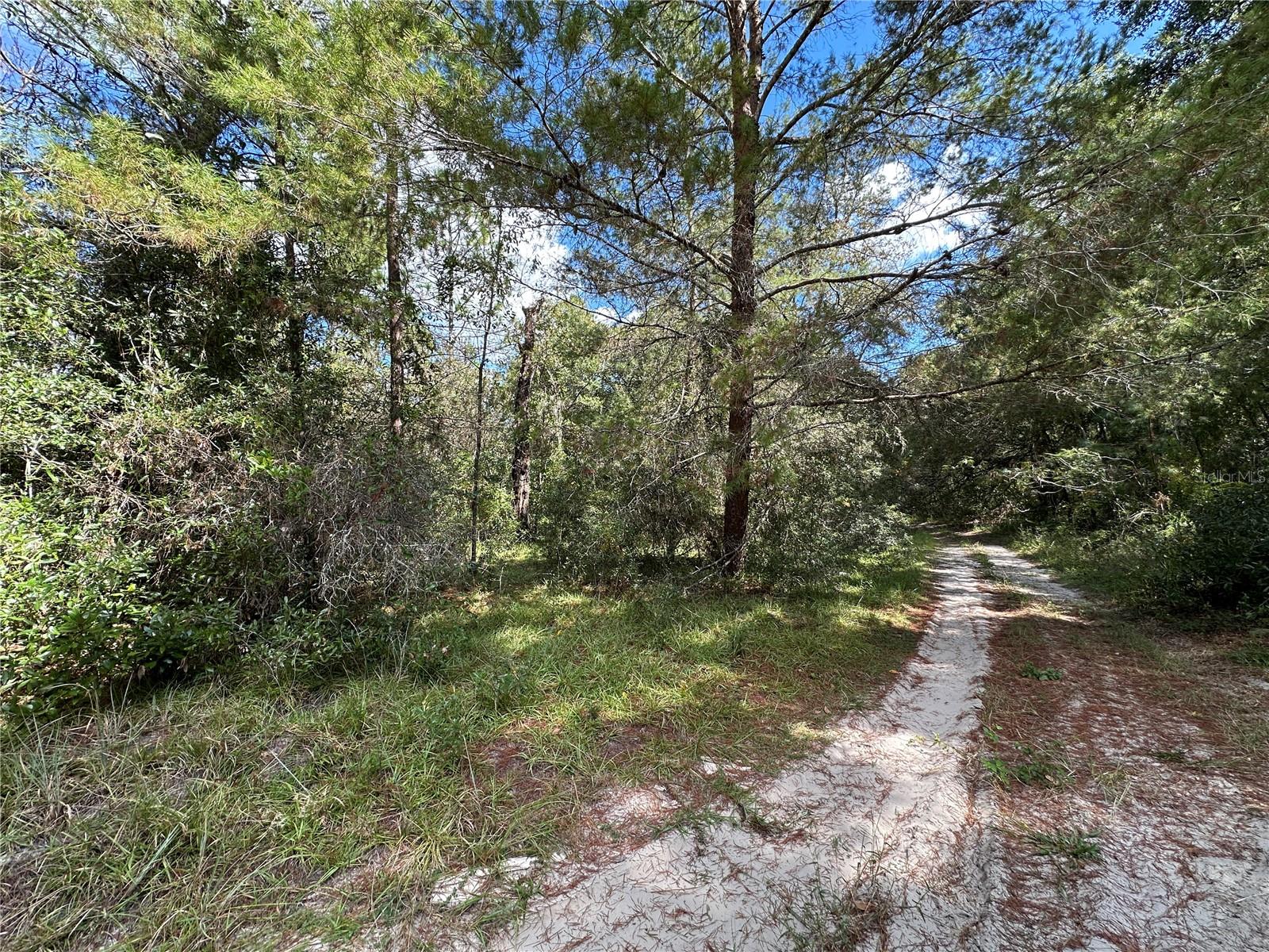 Image 7 of 10 For Tbd 138th Avenue