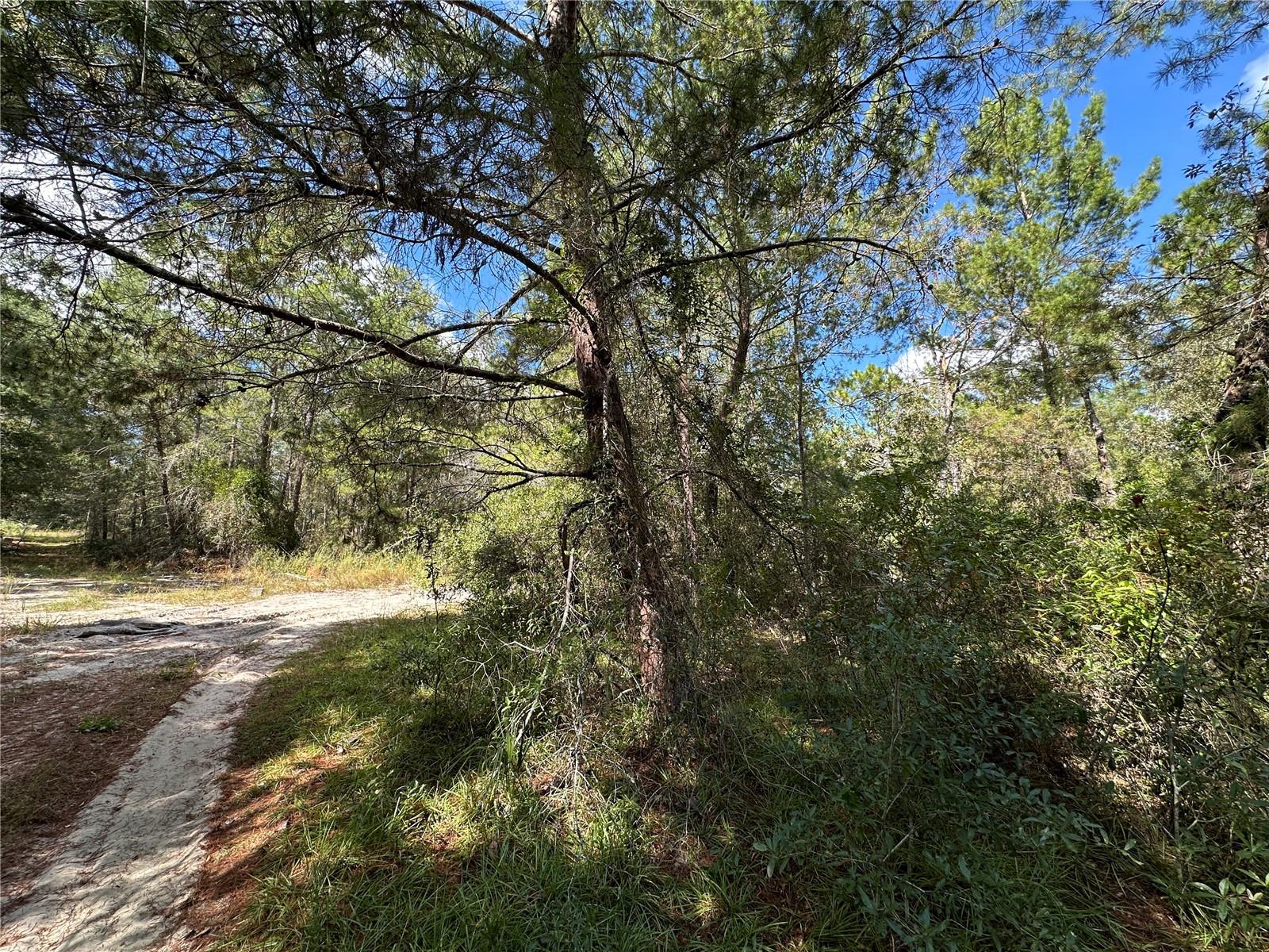 Image 8 of 10 For Tbd 138th Avenue