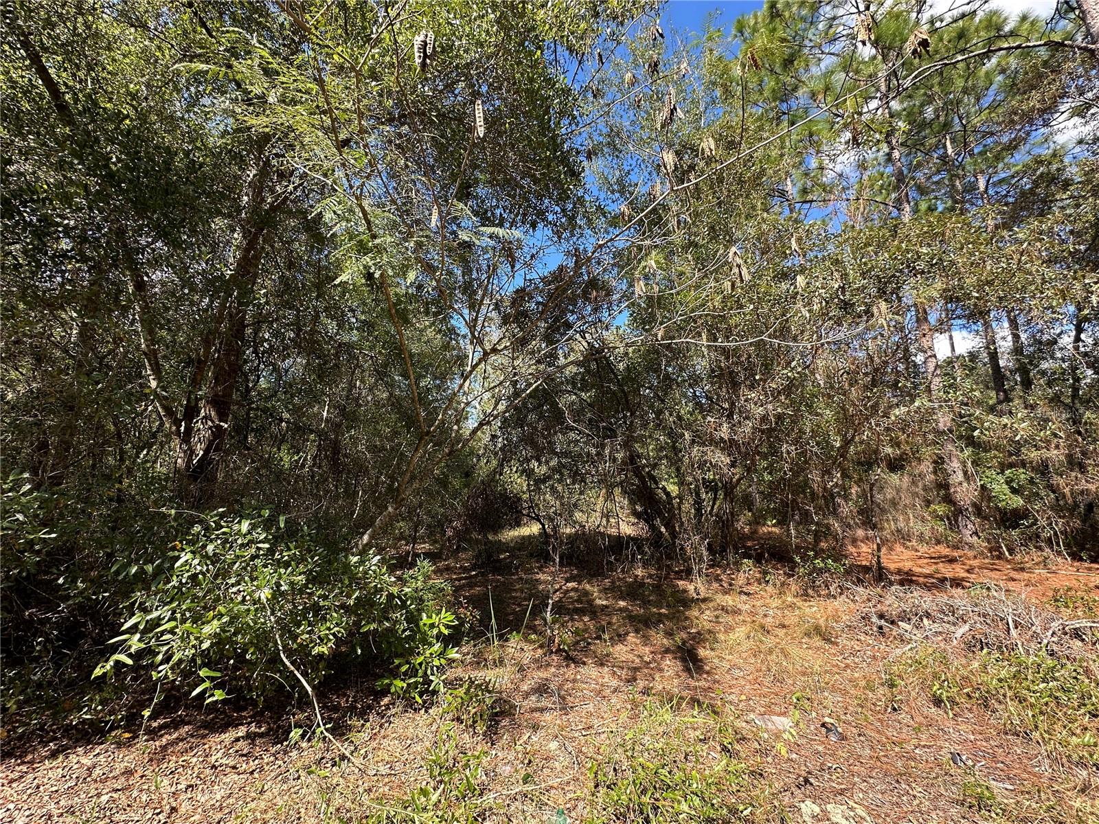 Image 9 of 10 For Tbd 138th Avenue