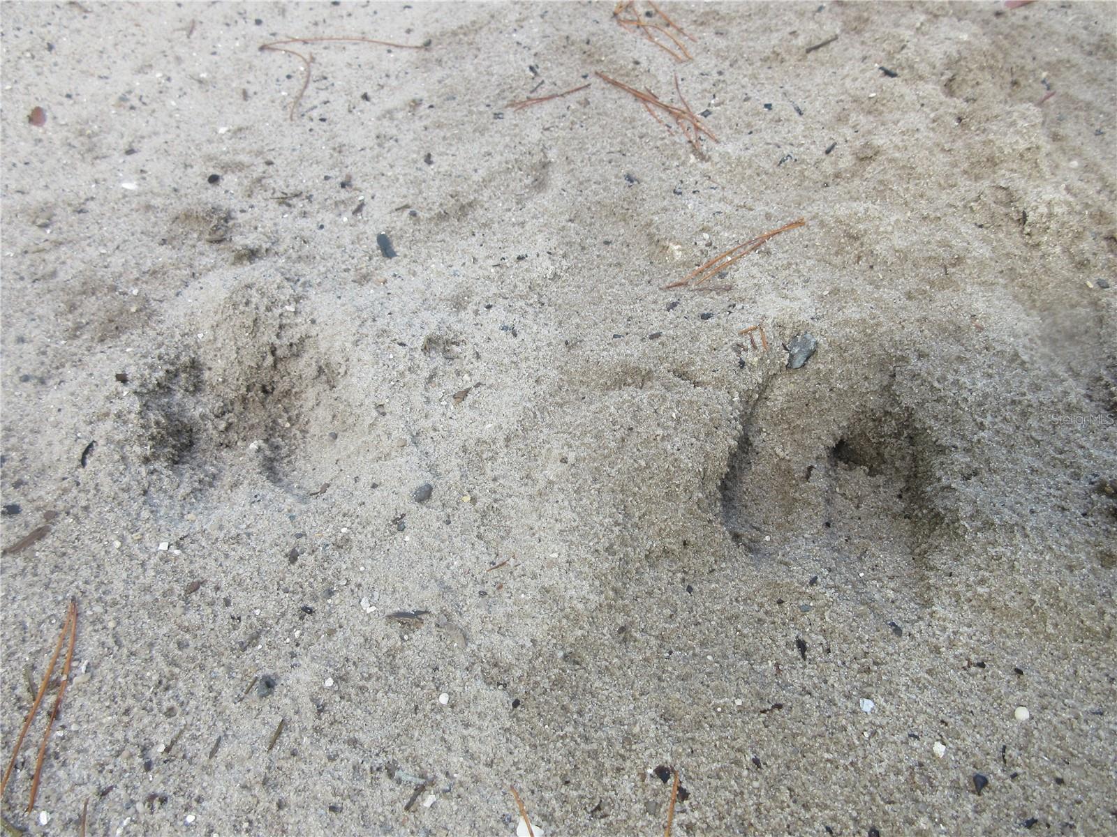 Image 10 of 52 For  171st Court 