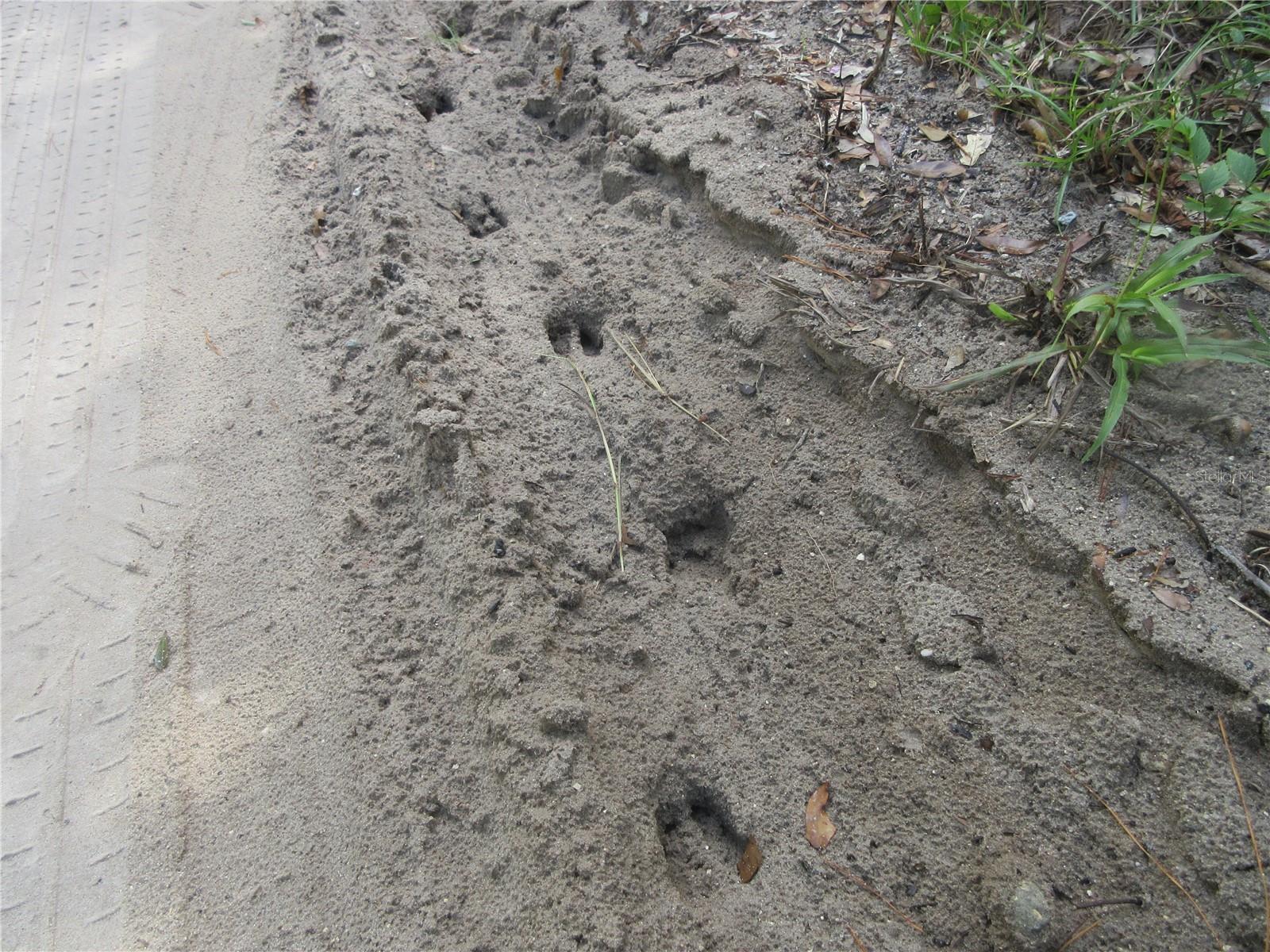 Image 11 of 52 For  171st Court 