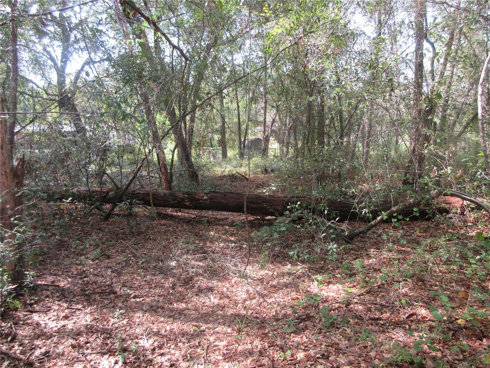 Image 2 of 52 For  171st Court 