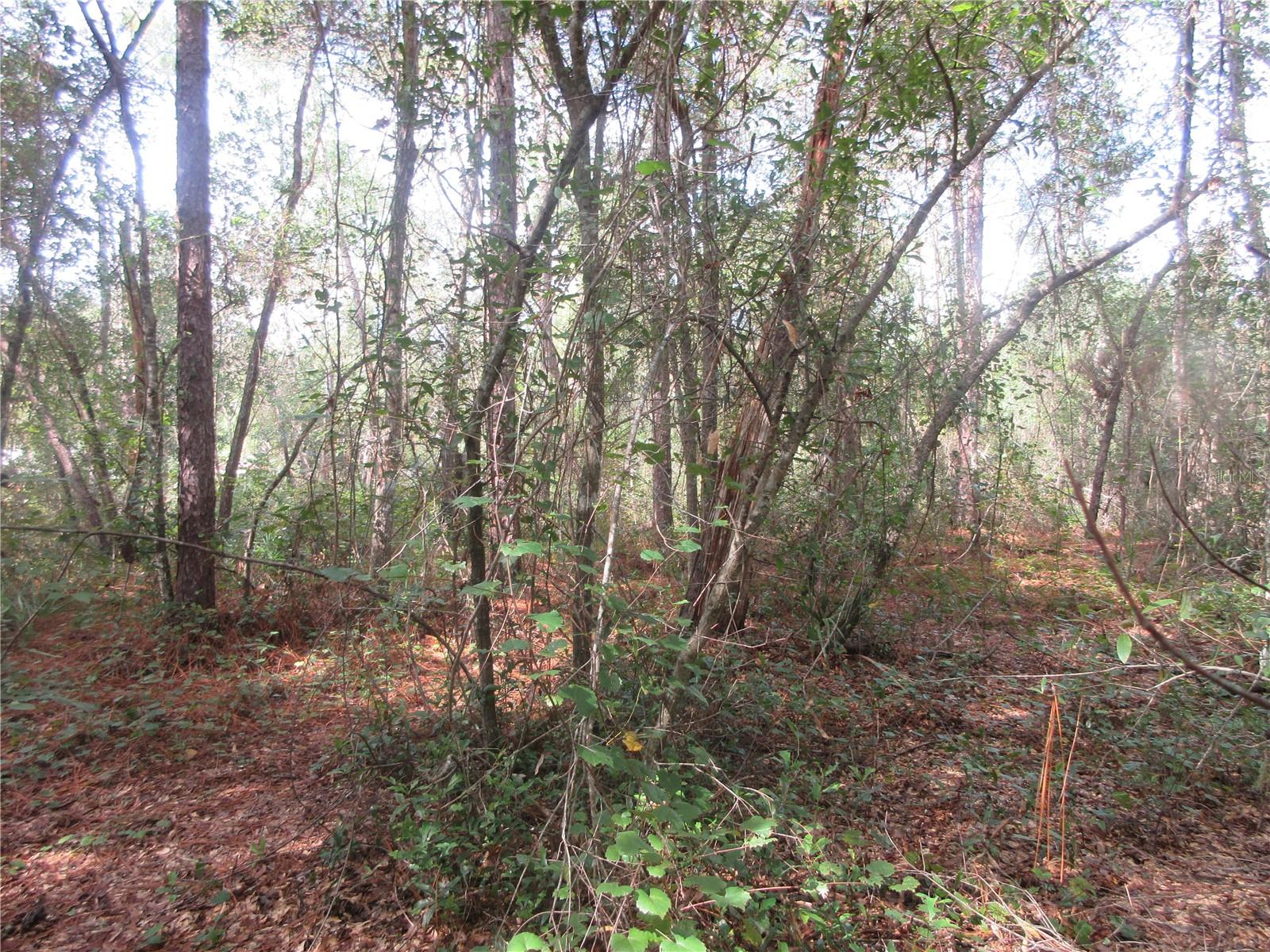 Image 3 of 52 For  171st Court 