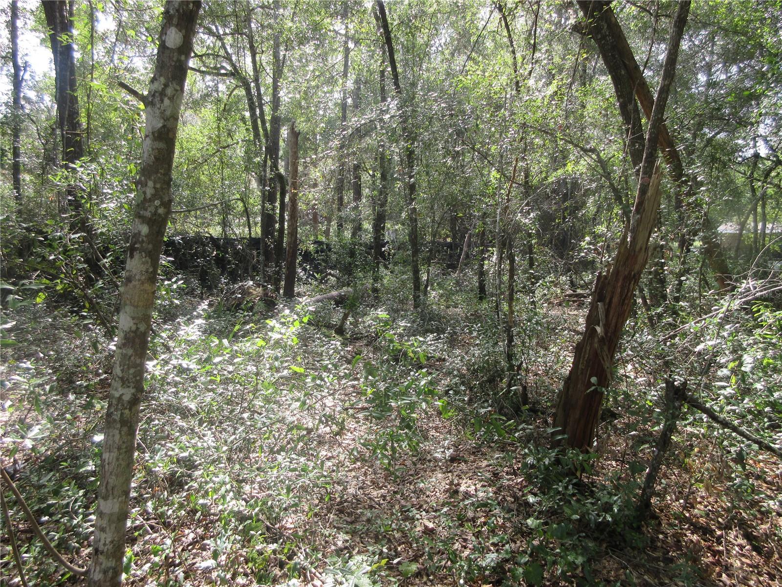 Image 5 of 52 For  171st Court 