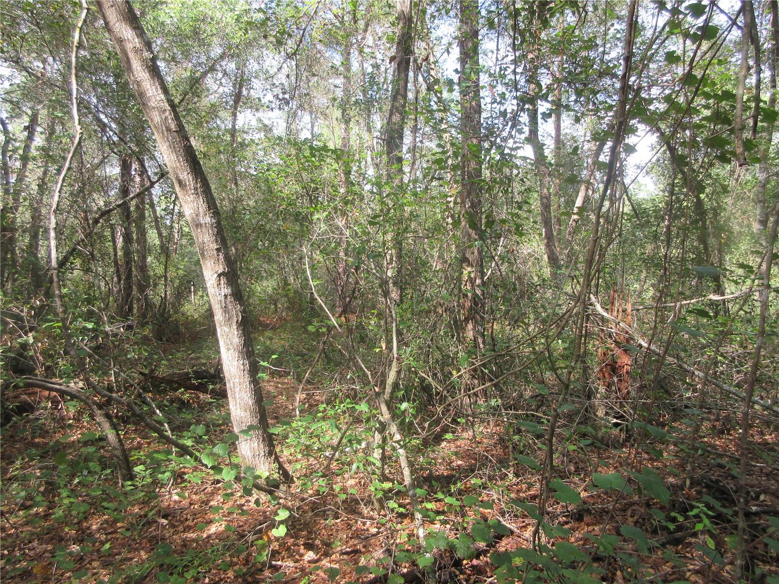 Image 6 of 52 For  171st Court 