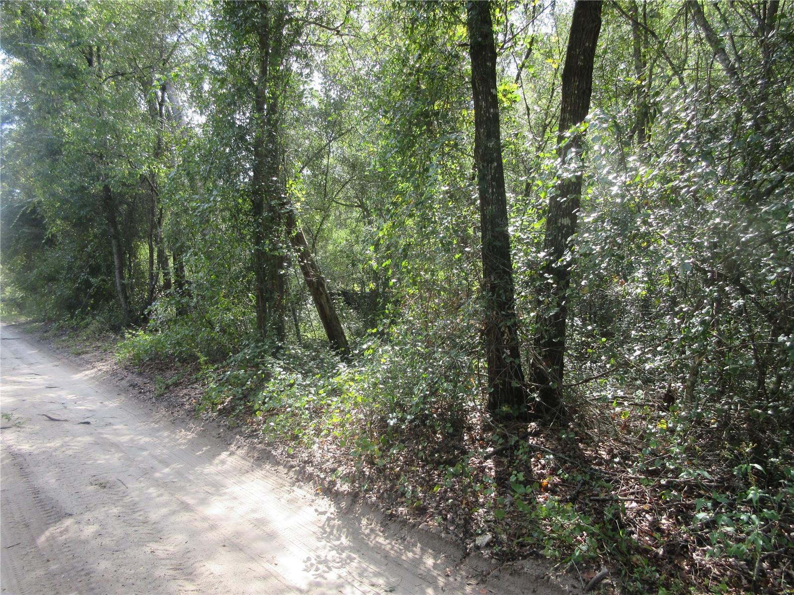 Image 8 of 52 For  171st Court 