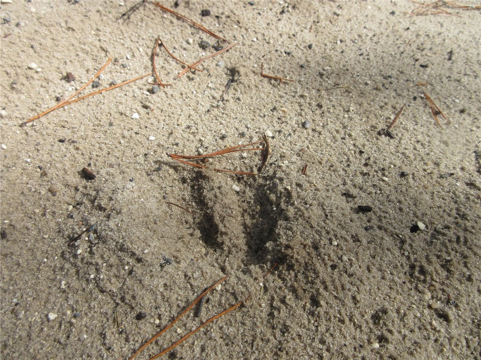 Image 9 of 52 For  171st Court 