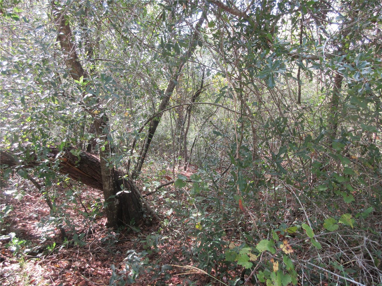 Image 10 of 60 For  171st Court 