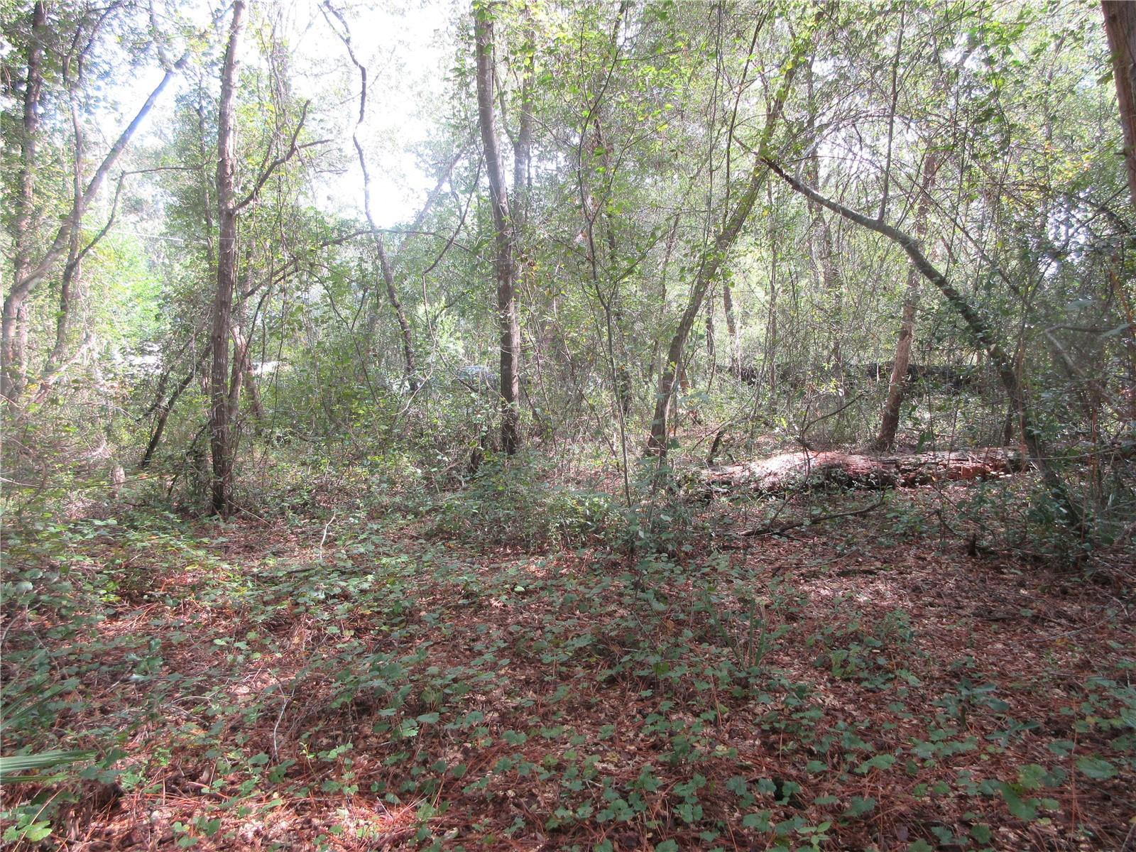 Image 11 of 60 For  171st Court 