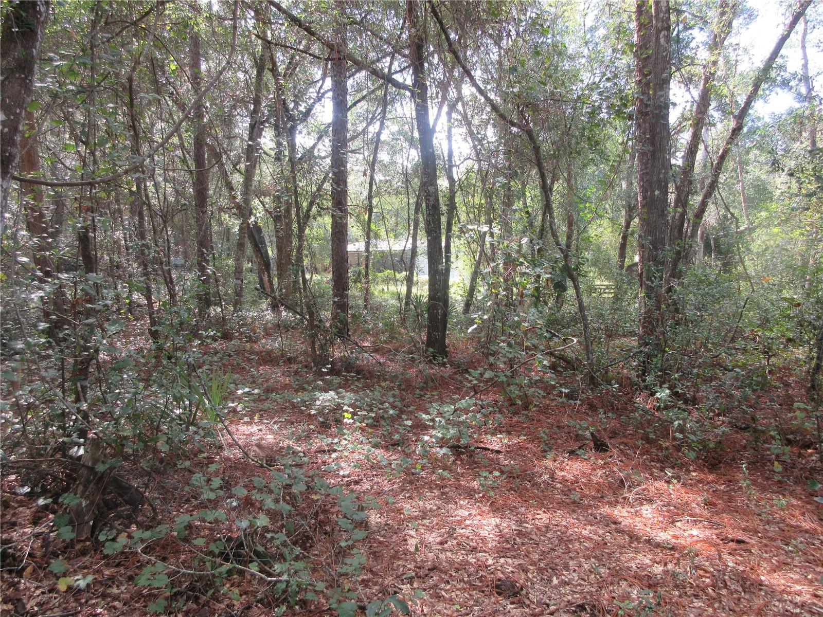 Image 2 of 60 For  171st Court 