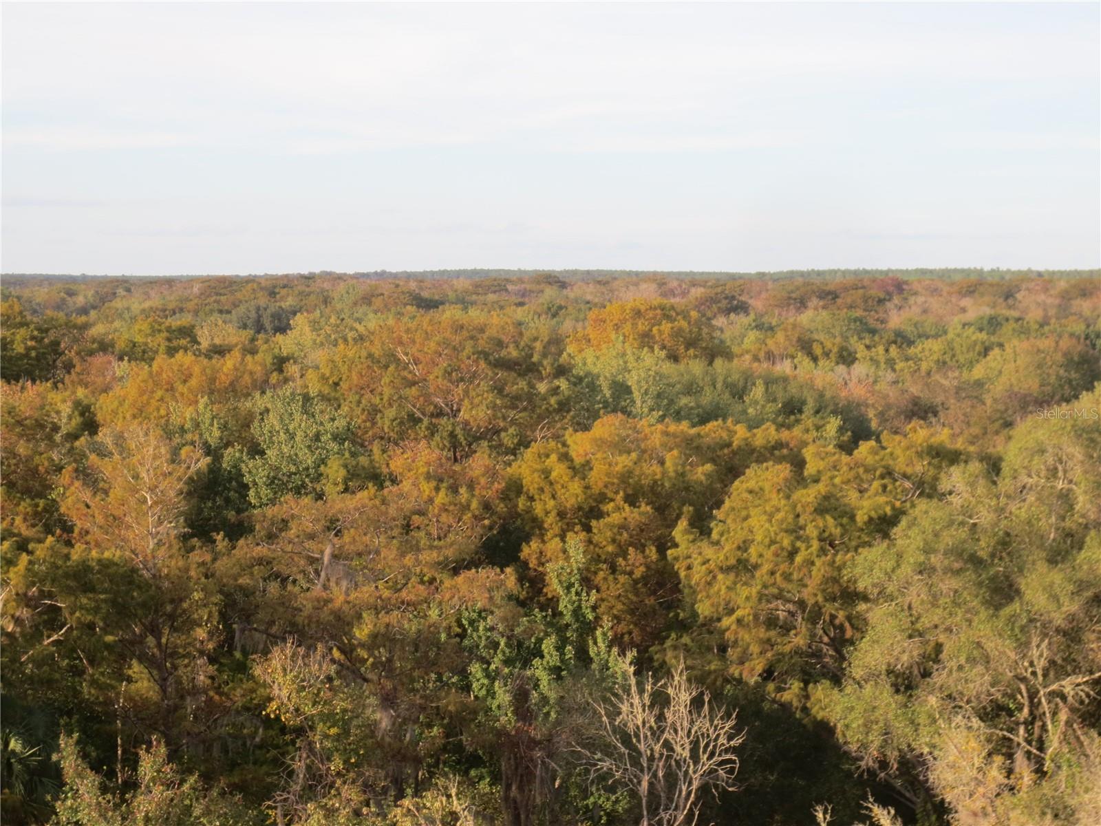 Image 26 of 60 For  171st Court 