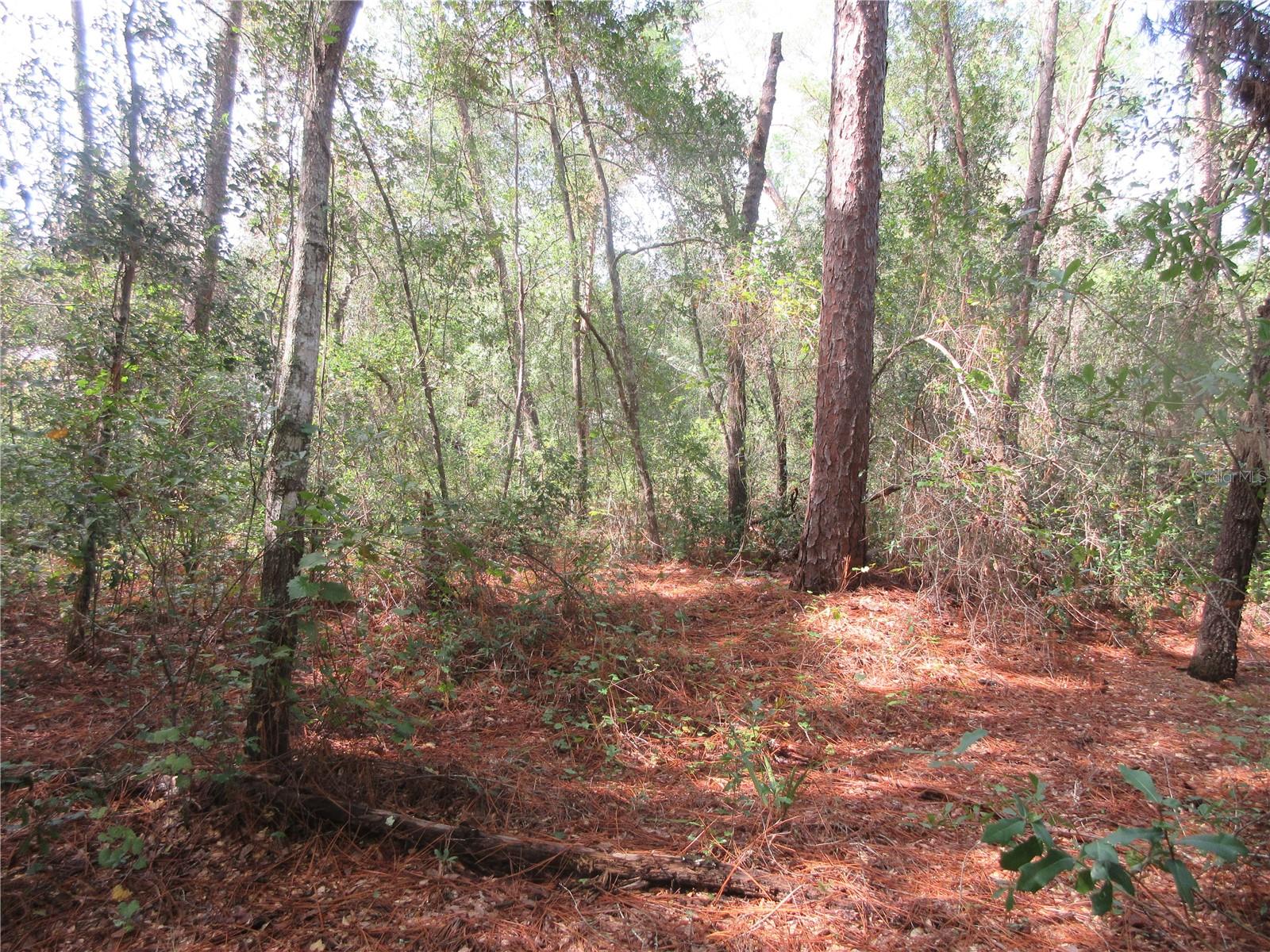 Image 3 of 60 For  171st Court 