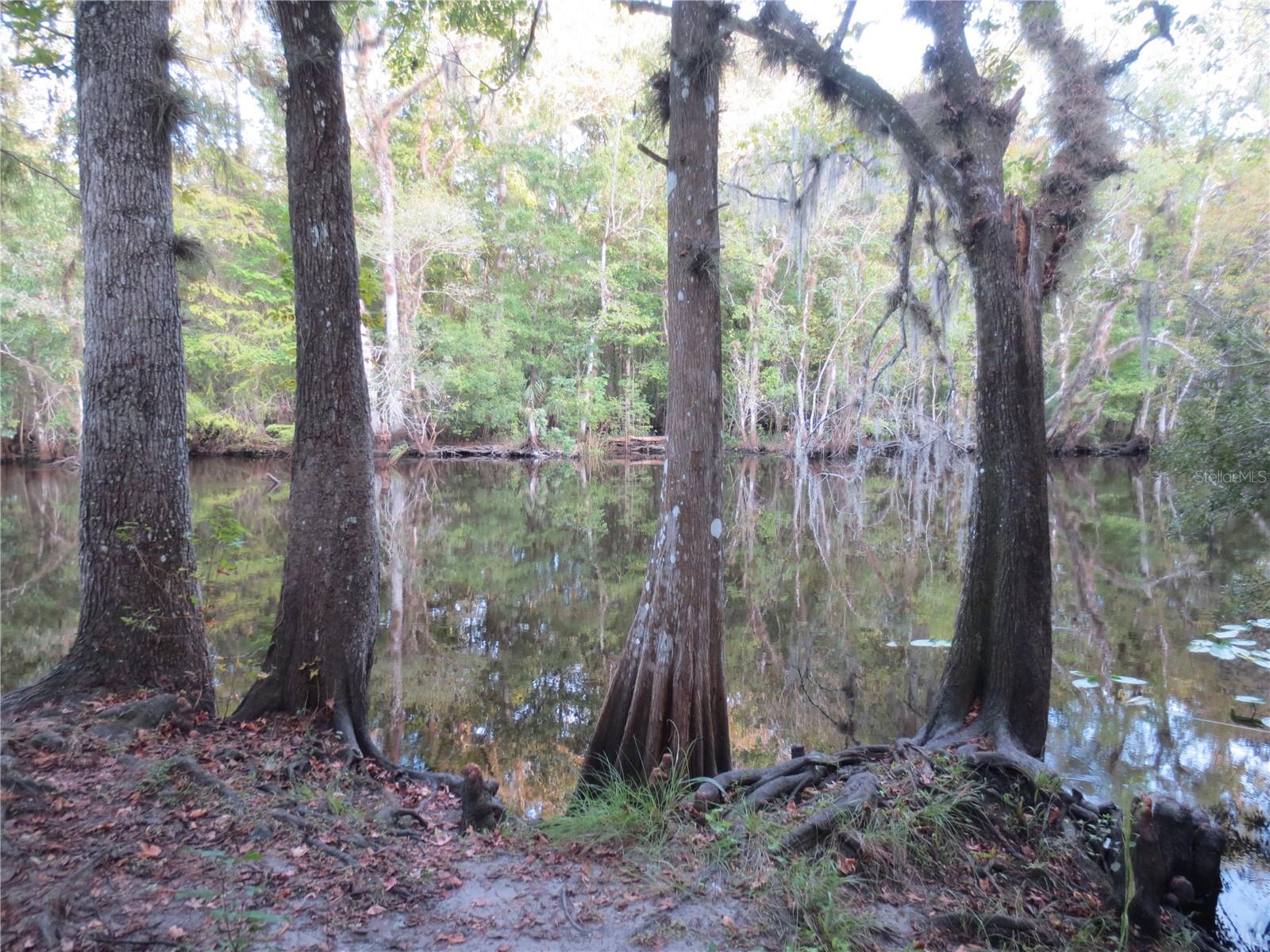 Image 36 of 60 For  171st Court 