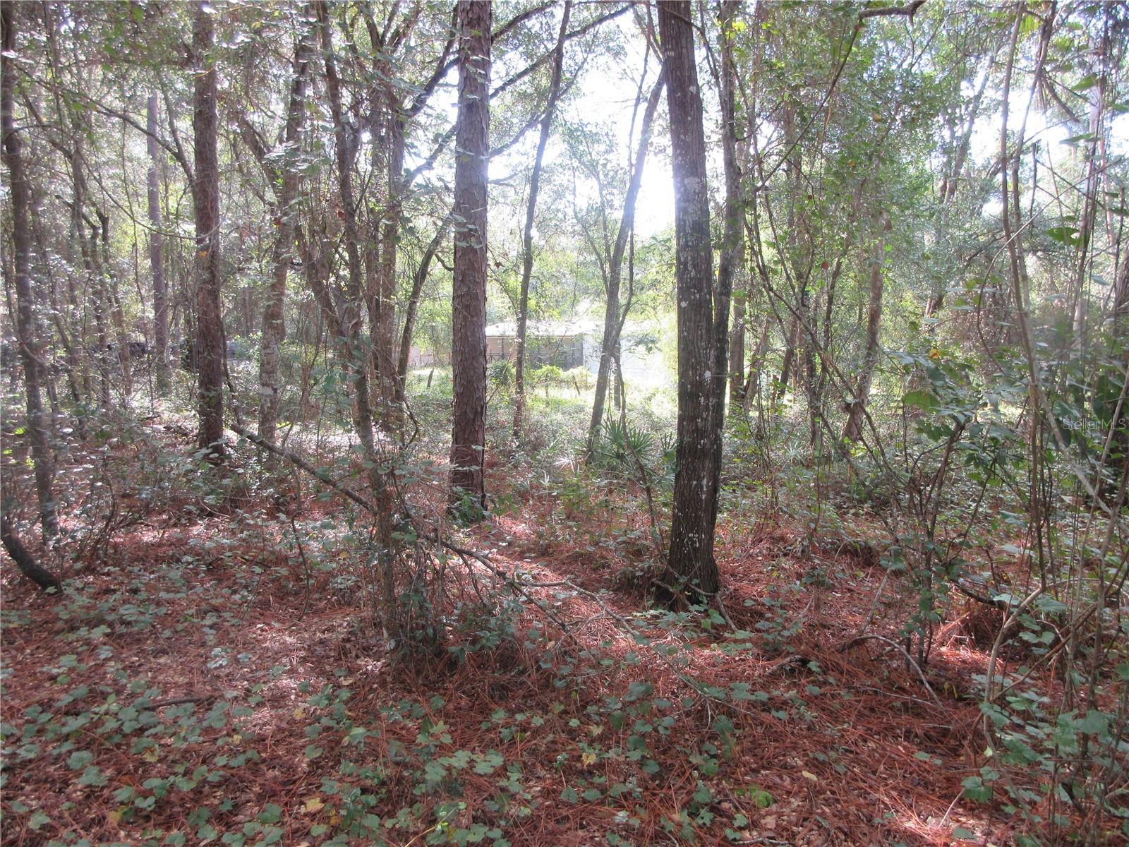 Image 4 of 60 For  171st Court 