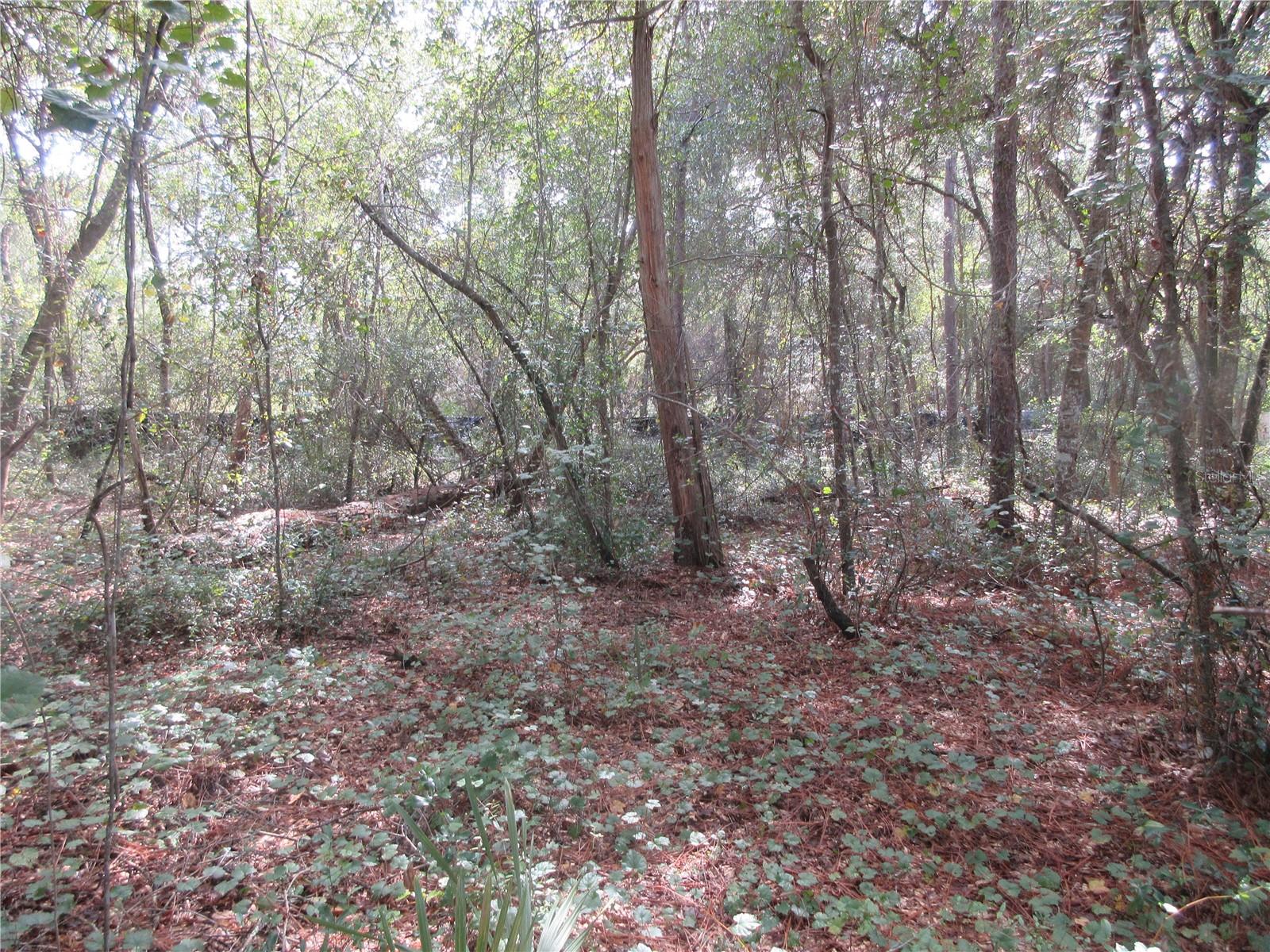 Image 5 of 60 For  171st Court 