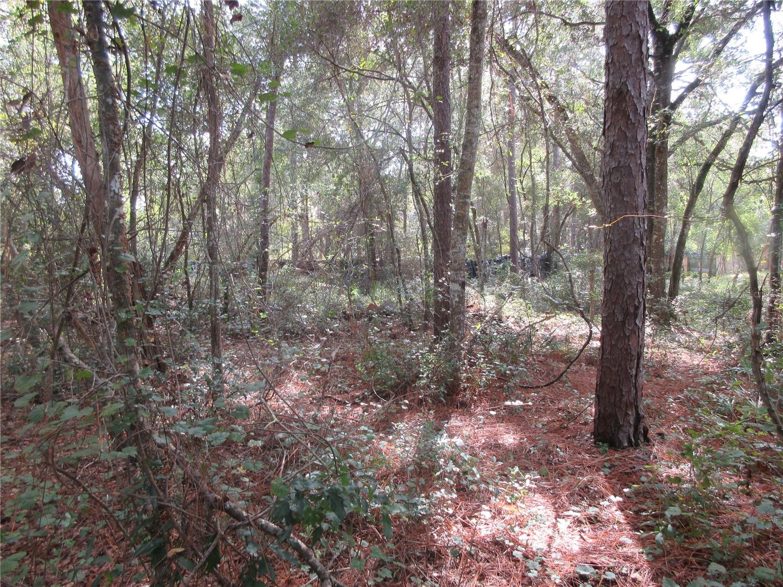 Image 6 of 60 For  171st Court 