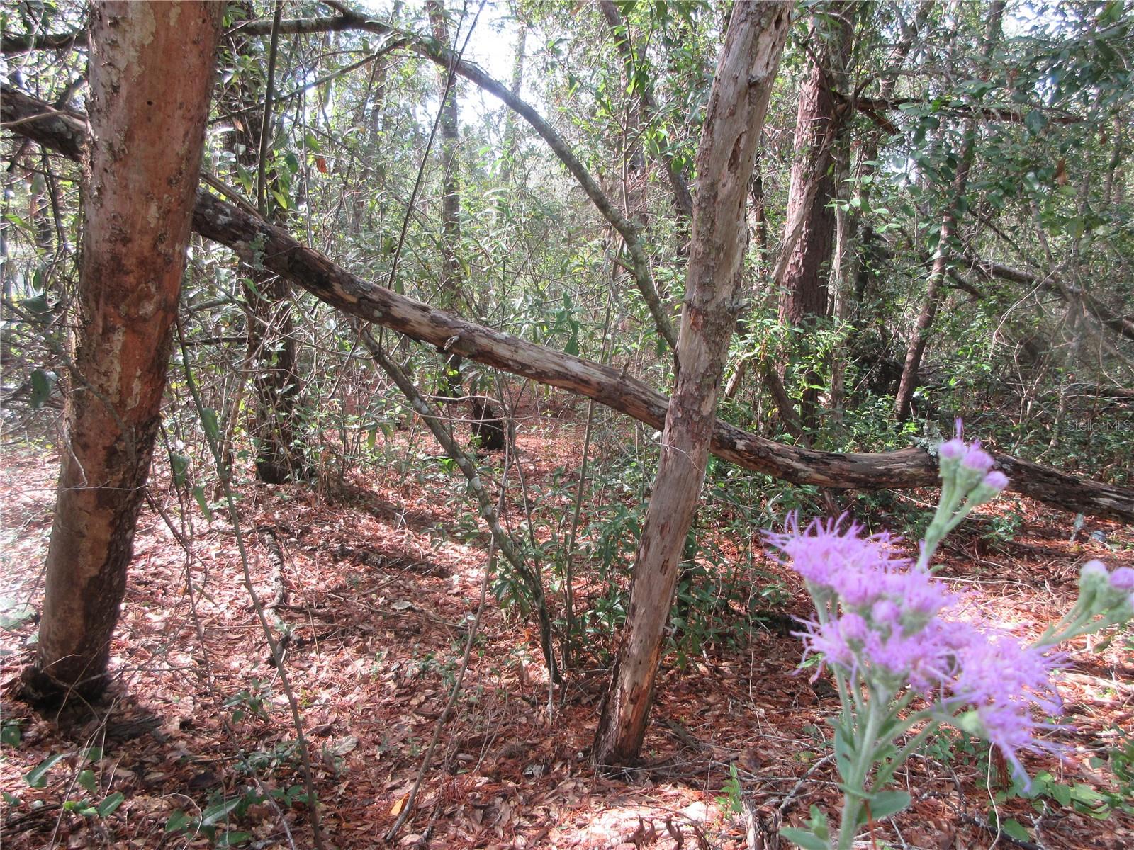 Image 7 of 60 For  171st Court 