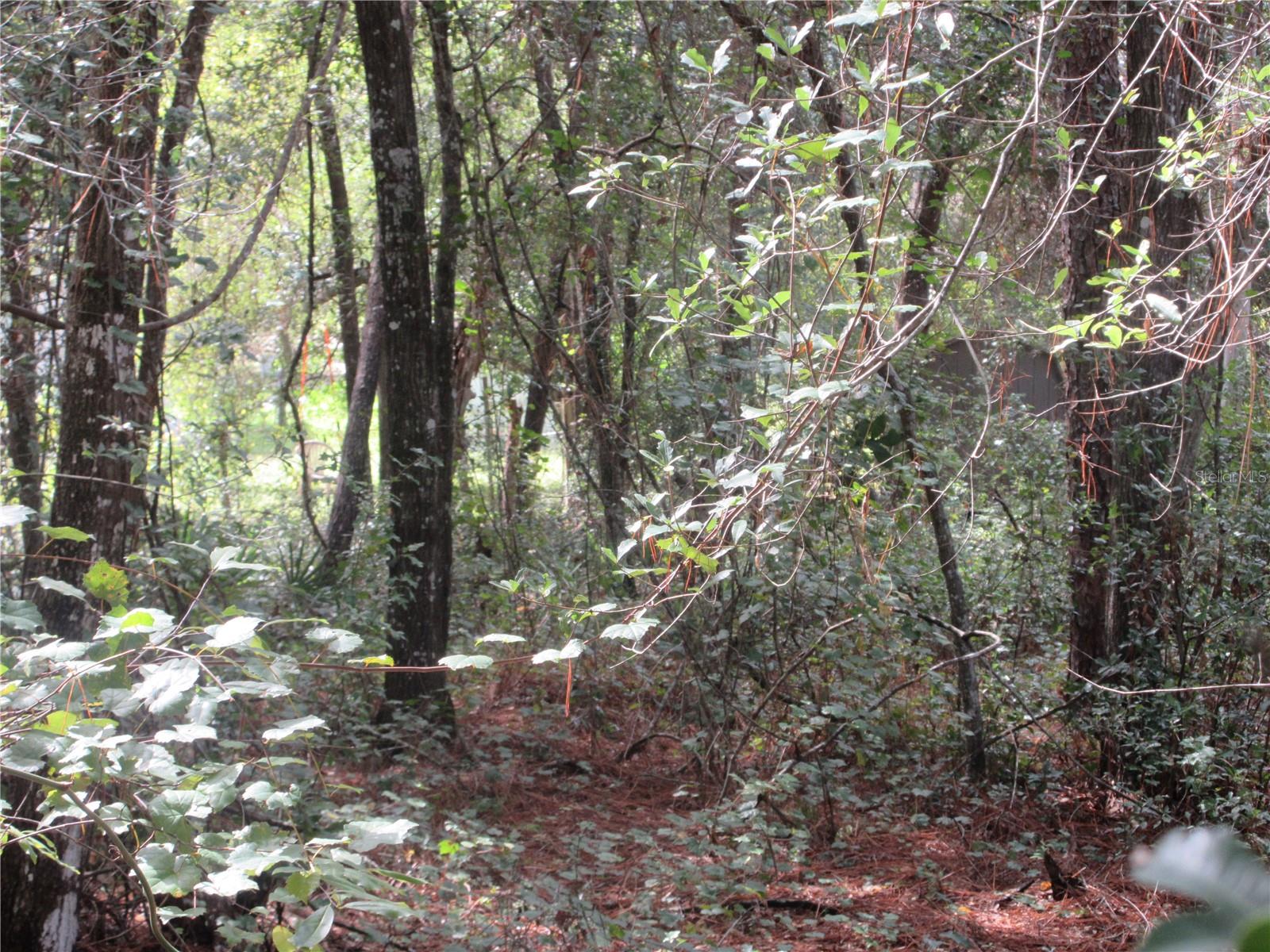 Image 8 of 60 For  171st Court 