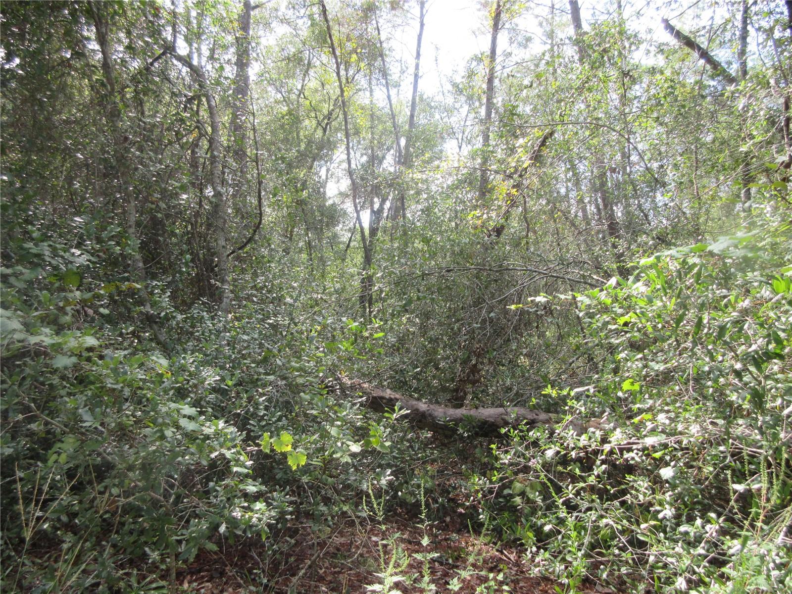 Image 9 of 60 For  171st Court 