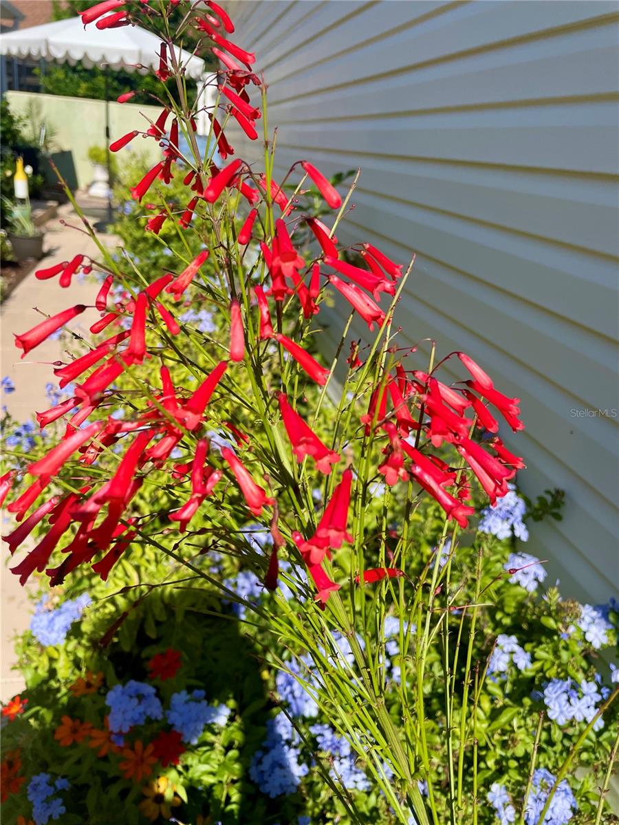 Image 34 of 45 For 17694 Se 84th Peyton Court