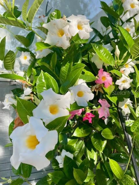 Image 36 of 45 For 17694 Se 84th Peyton Court