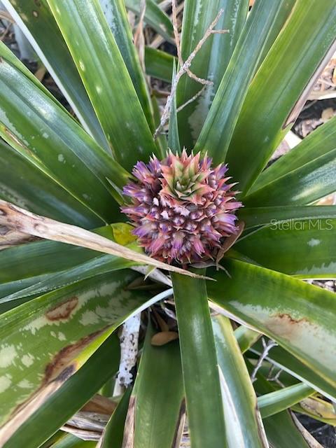 Image 45 of 45 For 17694 Se 84th Peyton Court