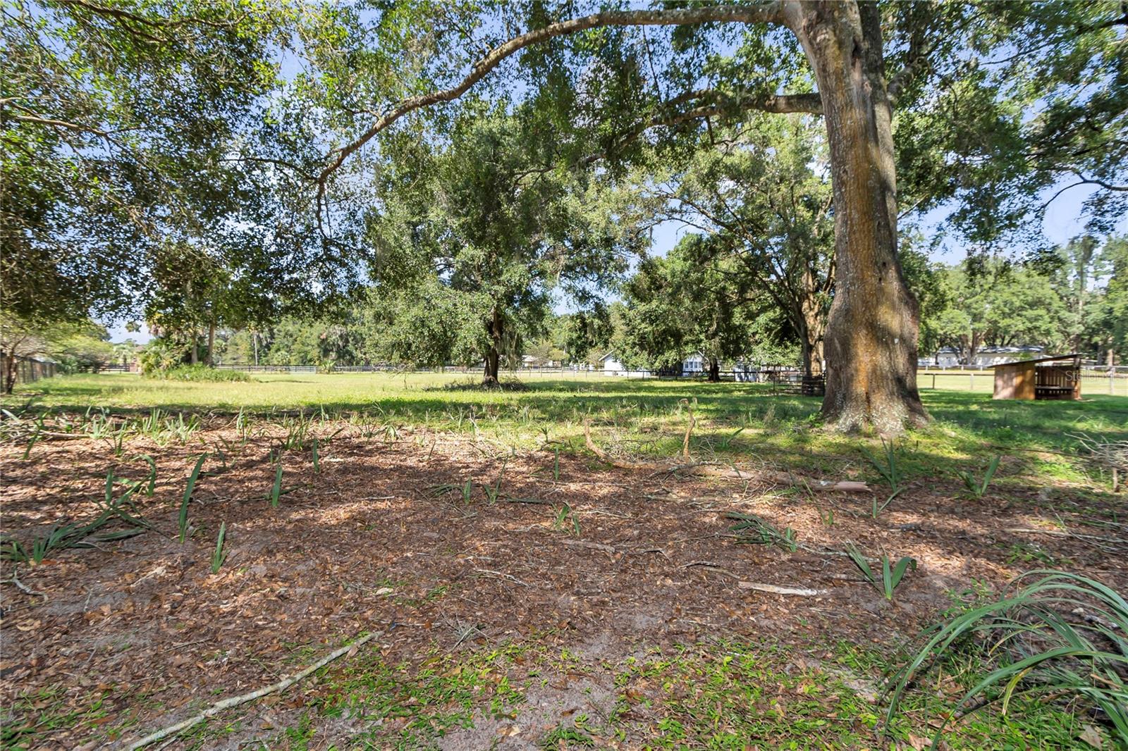 Image 49 of 55 For 13232 39th Terrace