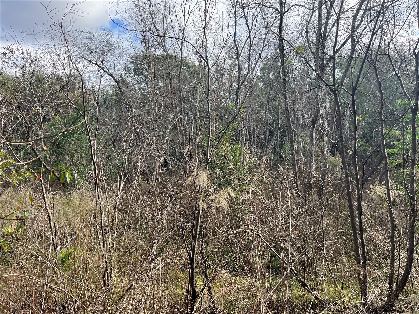 Image 15 of 17 For 11403 Lisette Path