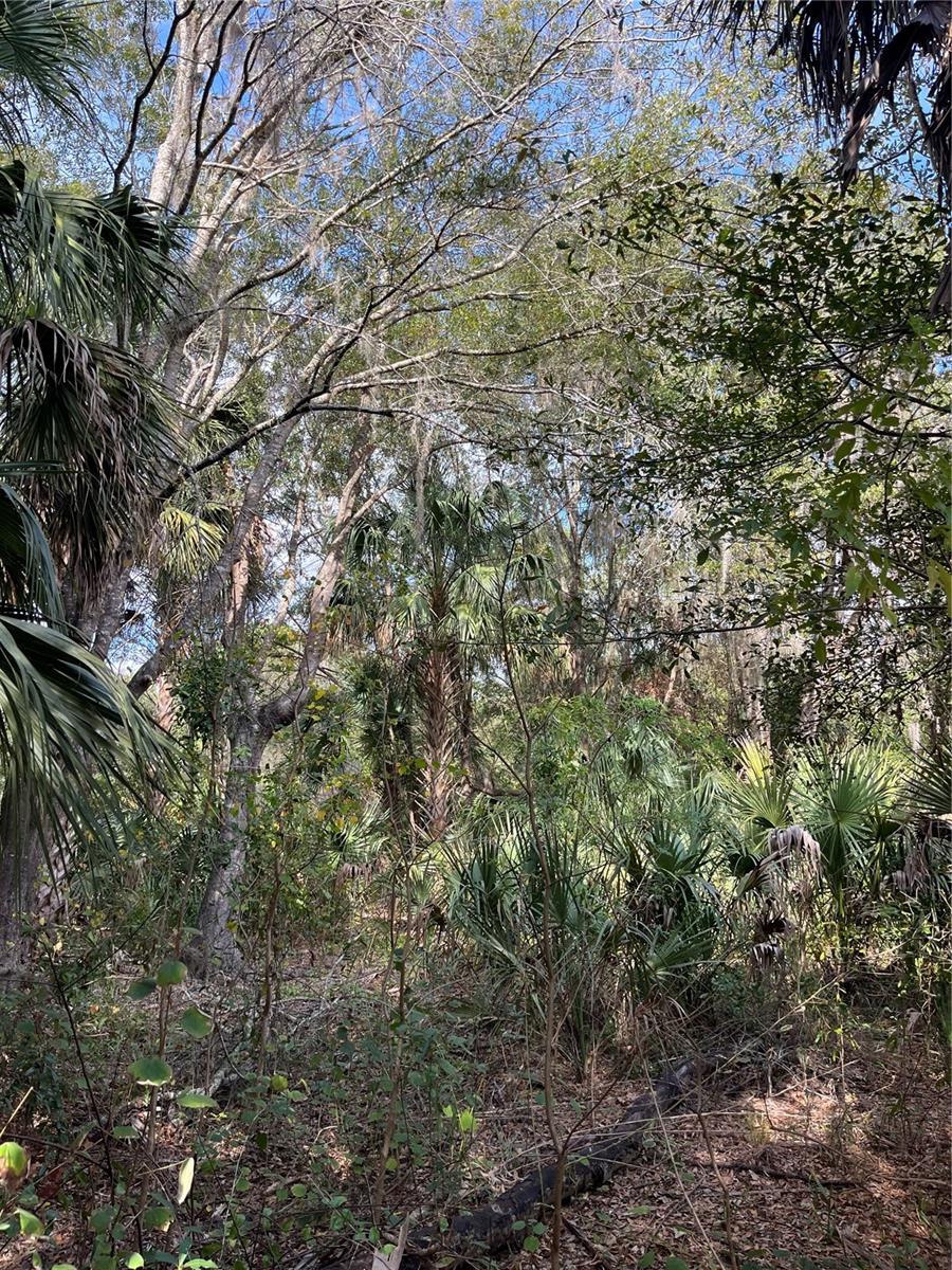 Image 16 of 17 For 11403 Lisette Path