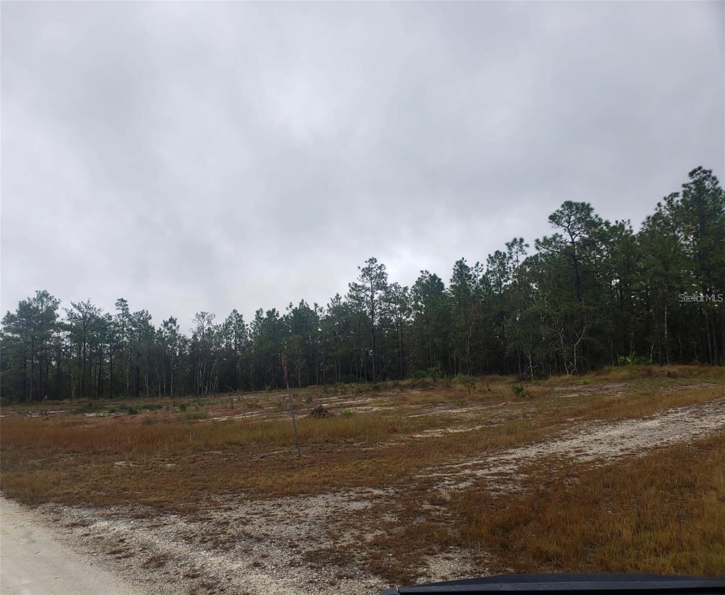Details for 16322 Mexican Eagle Road, BROOKSVILLE, FL 34614