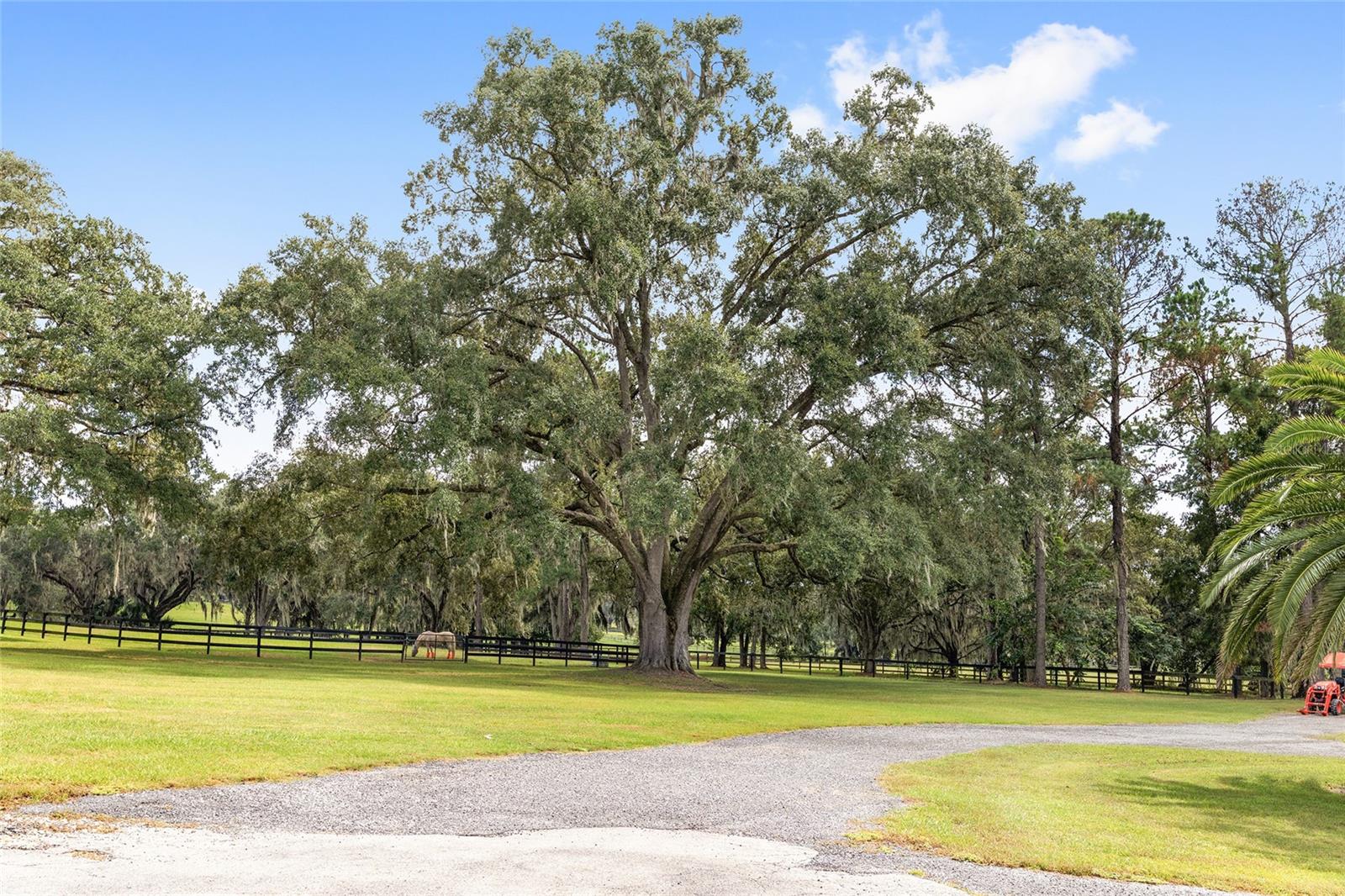 Image 86 of 88 For 8778 130th Street
