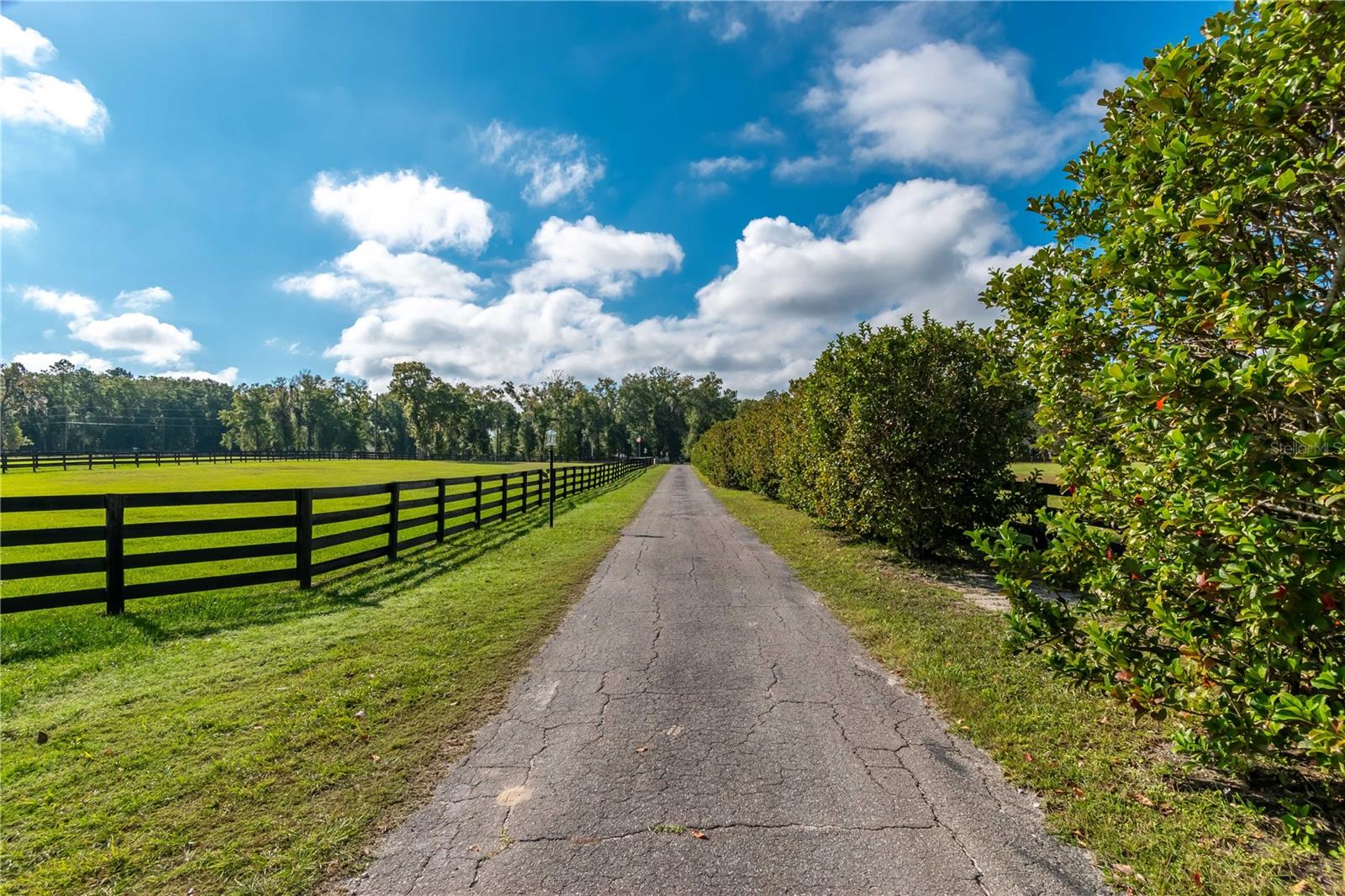 Image 46 of 74 For 11851 38th Street