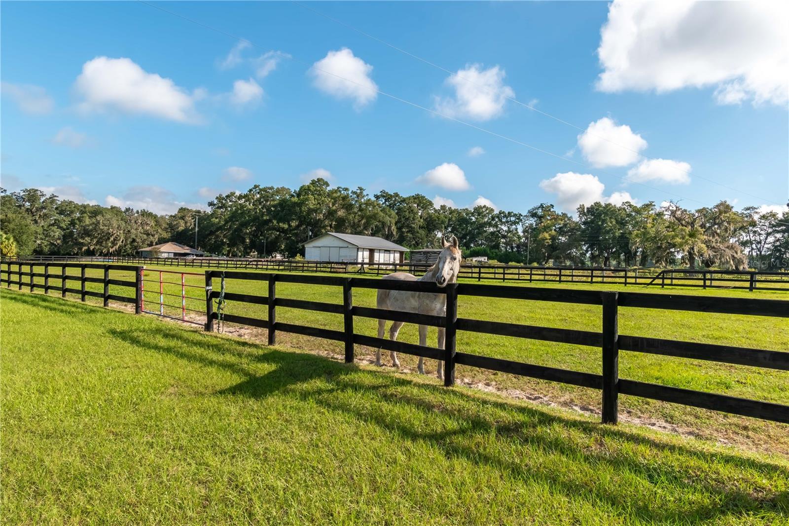 Image 62 of 74 For 11851 38th Street