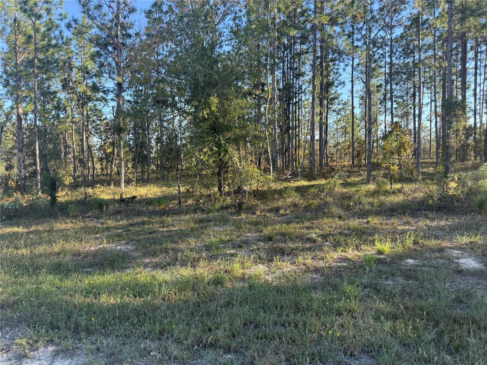 Image 11 of 26 For 00 73rd Lane