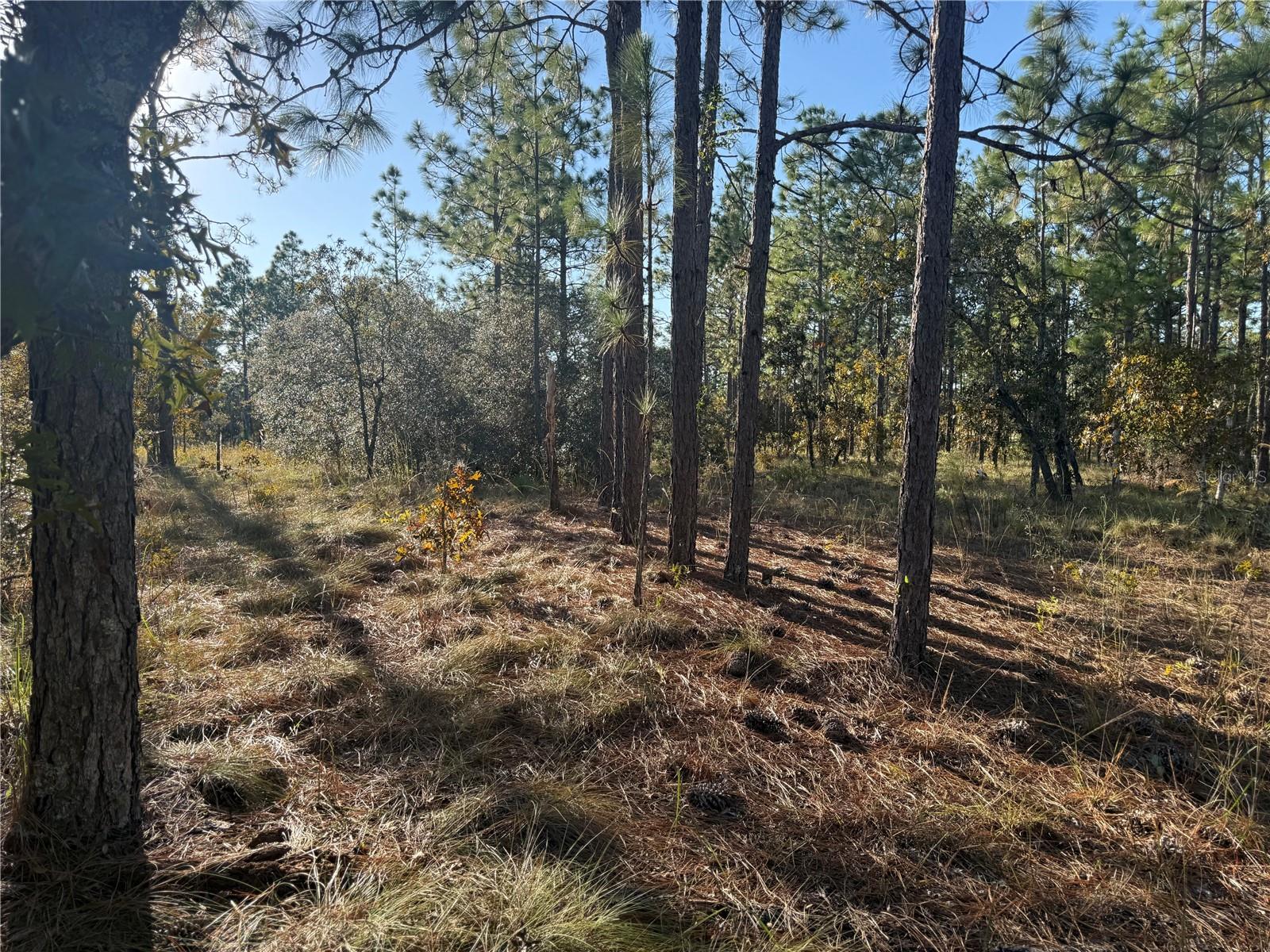Image 12 of 26 For 00 73rd Lane
