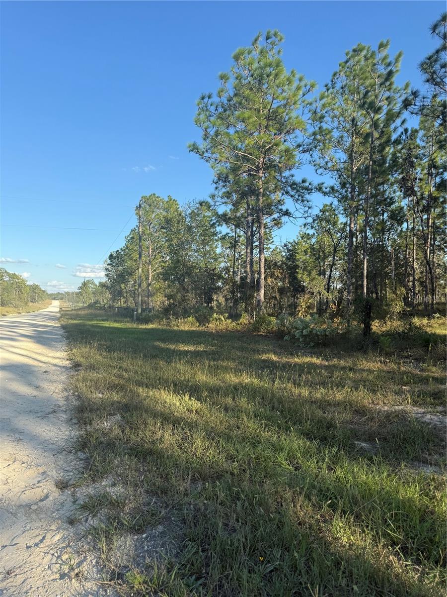 Image 8 of 26 For 00 73rd Lane