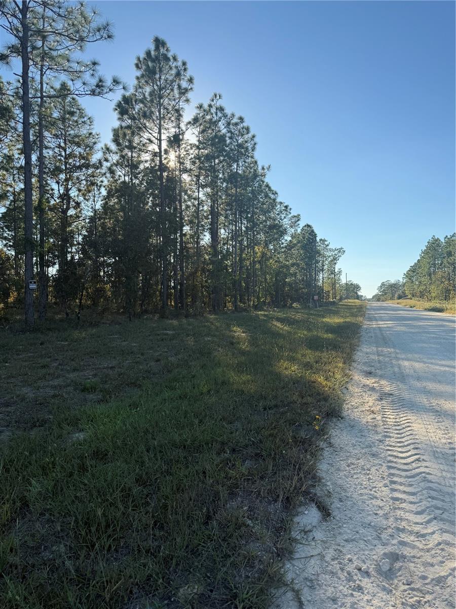 Image 9 of 26 For 00 73rd Lane