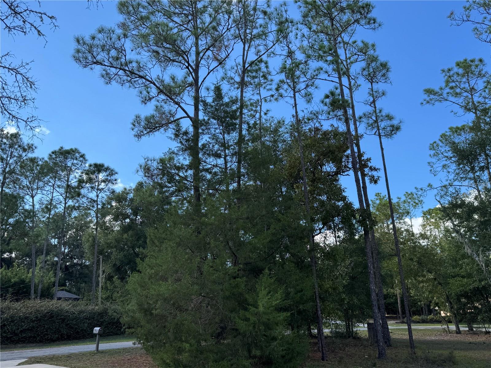 Image 7 of 52 For 21956 85th Loop