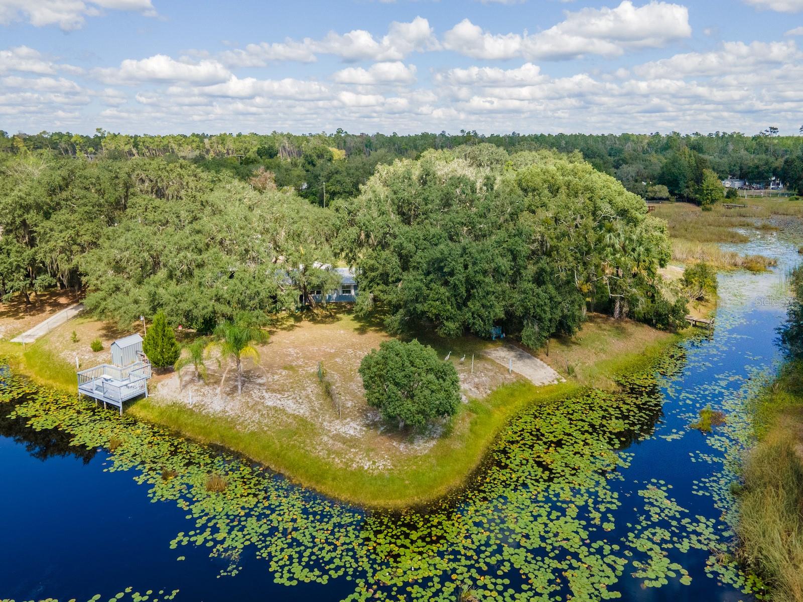 Details for 23560 154th Place Road, SALT SPRINGS, FL 32134