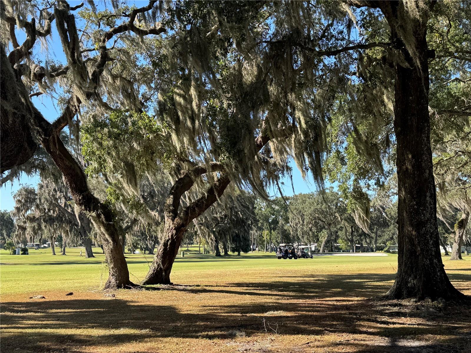 Image 27 of 33 For 72 Seminole Path