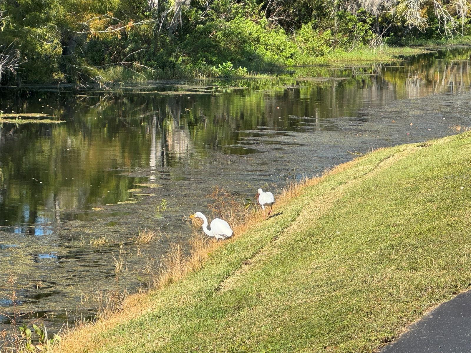 Image 6 of 33 For 72 Seminole Path