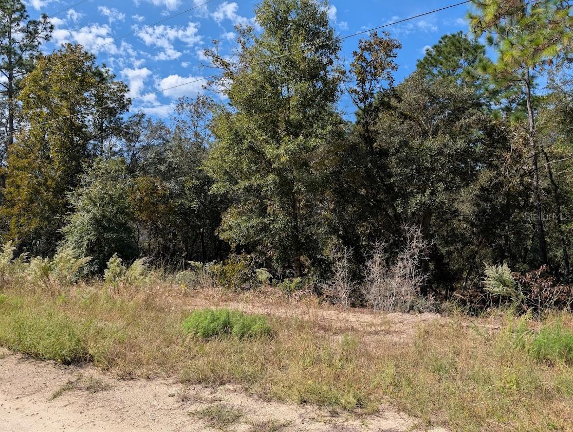 Image 10 of 11 For Address Not Provided