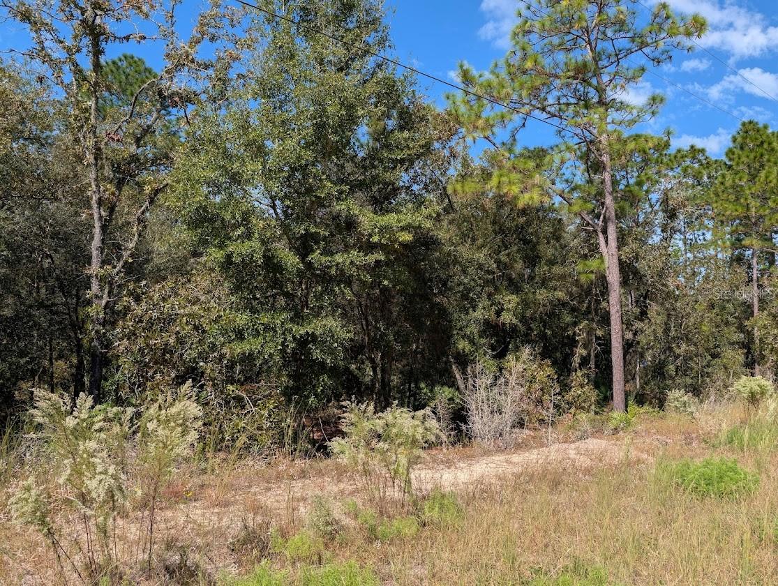 Image 11 of 11 For Address Not Provided