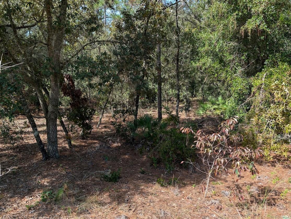 Image 8 of 11 For Address Not Provided