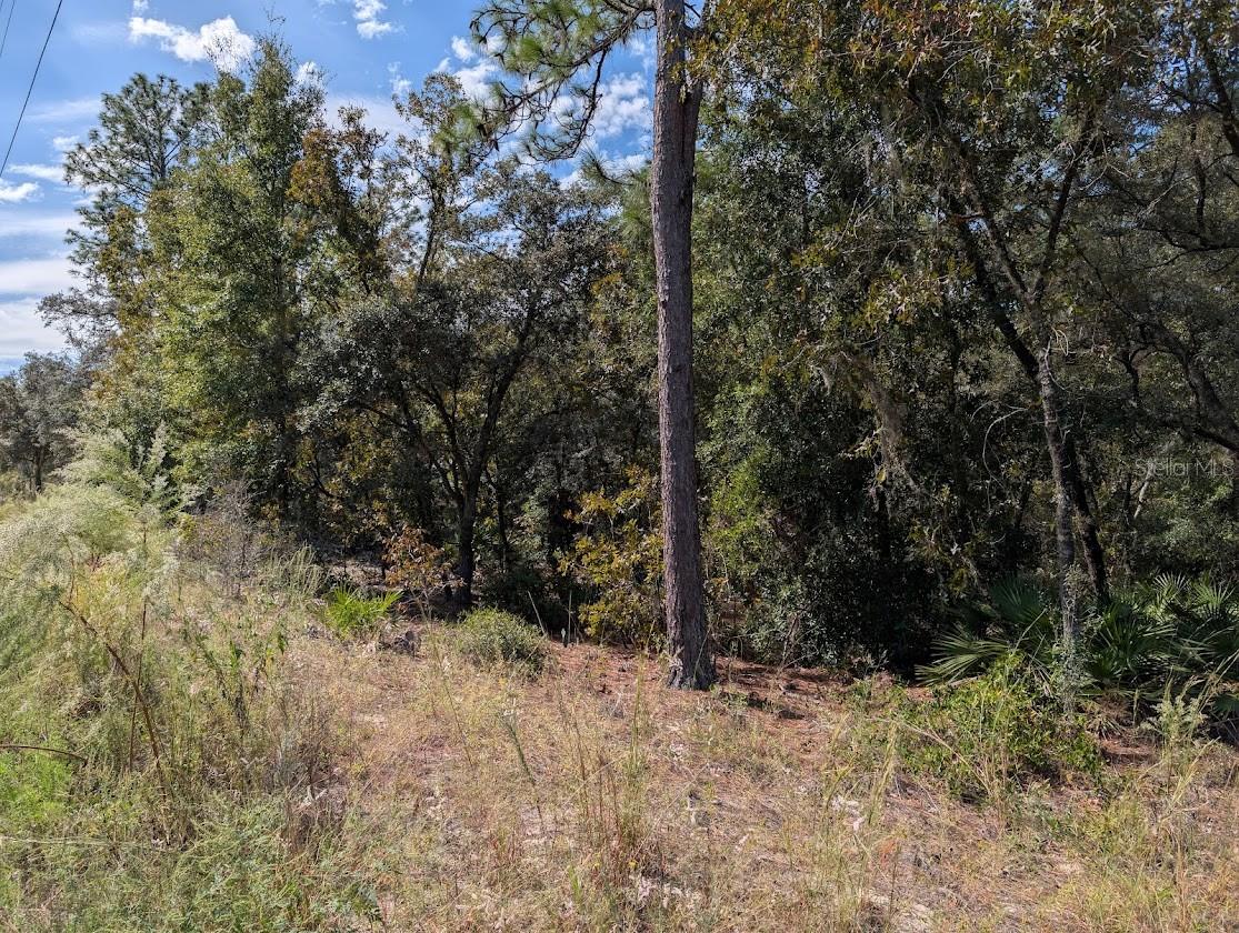 Image 9 of 11 For Address Not Provided